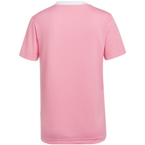Koszulka damska adidas Entrada 22 Jersey różowa HC5075