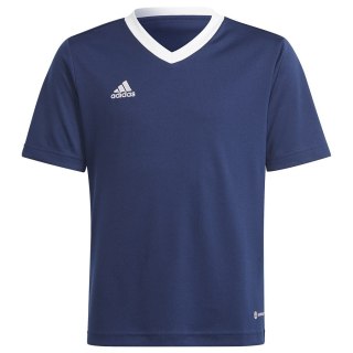 Koszulka adidas ENTRADA 22 JSY Y H57564