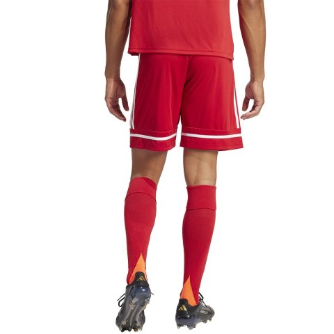 Spodenki adidas SQUADRA 25 Short JN5466