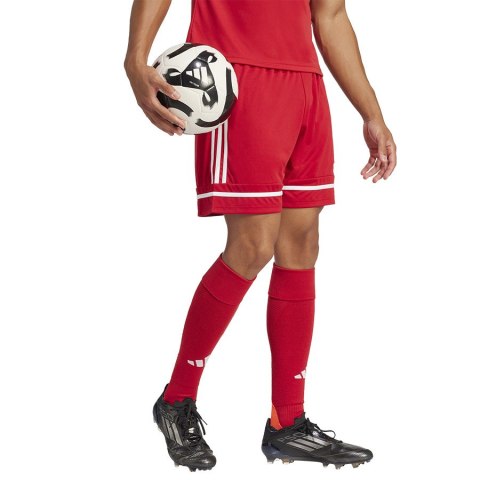 Spodenki adidas SQUADRA 25 Short JN5466
