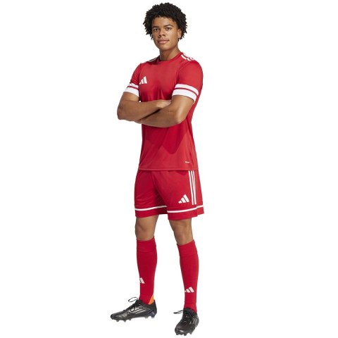 Spodenki adidas SQUADRA 25 Short JN5466