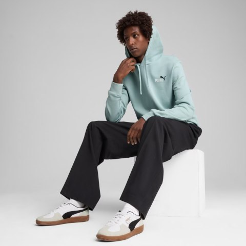 Bluza męska Puma Ess 2 Color Small No.1 Logo Hoodie TR miętowa 684719 67