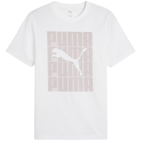 Koszulka męska Puma Graphics Wording Tee biała 684825 02