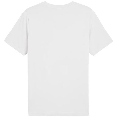 Koszulka męska Puma Graphics Wording Tee biała 684825 02