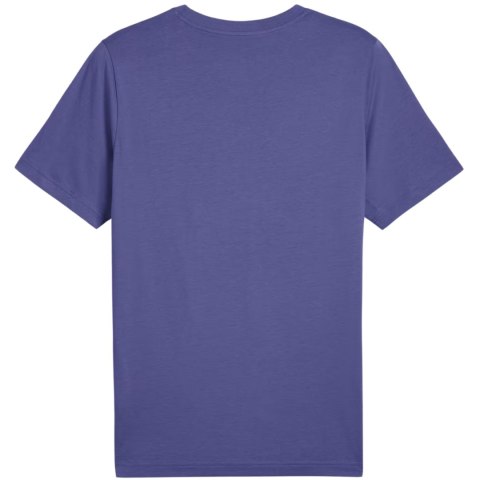 Koszulka męska Puma Graphics Wording Tee niebieska 684825 46