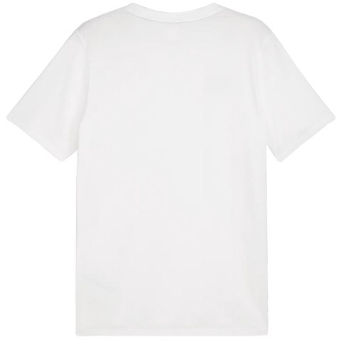Koszulka męska Puma Team Goal Casuals Tee biała 658615 04