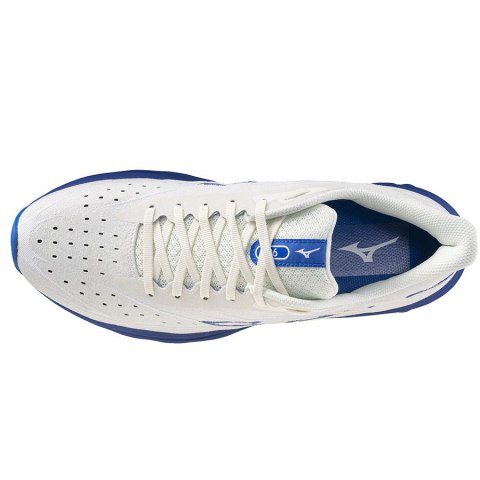 Buty Mizuno WAVE SKYRISE 6 J1GC250954