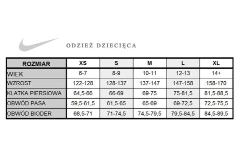 Spodnie dla dzieci Nike Dry Squad Pant szare 836095 060