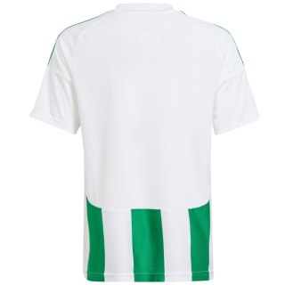 Koszulka dla dzieci adidas Striped 24 biało-zielona IW2138