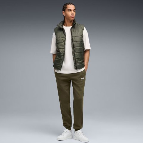 Spodnie męskie Puma ESS 2 Color No.1 Logo oliwkowe 684713 70