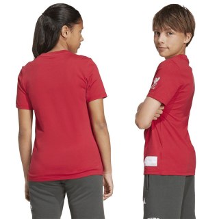 Koszulka adidas Liverpool FC Tee Junior JW7878