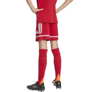 Spodenki adidas SQUADRA 25 JN5456