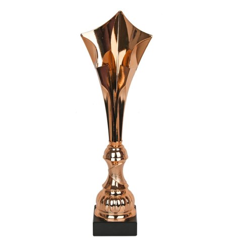 Puchar Tryumf W2206/B