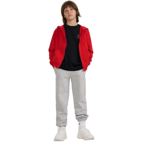 Bluza dla chłopca 4F M1944 czerwona 4FJWAW25TSWSM1944 62S