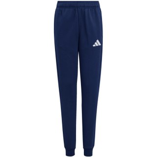 Spodnie dla dzieci adidas Entrada 26 Sweat granatowe JZ9135