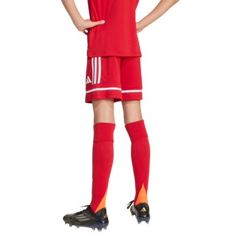 Spodenki dla dzieci adidas Squadra 25 czerwone JN5456