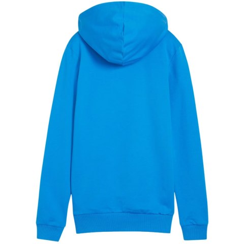 Bluza damska Puma Team Goal Casuals Hoody niebieska 658621 02