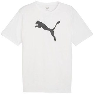 Koszulka męska Puma Team Rise Logo Jersey Cotton biała 658705 04