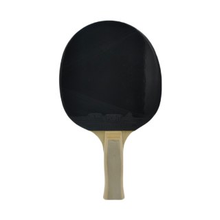 Rakietka do ping ponga Point Start