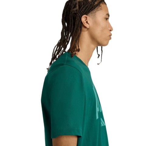 Koszulka męska adidas Collegiate Lineage Graphic zielona KA7135