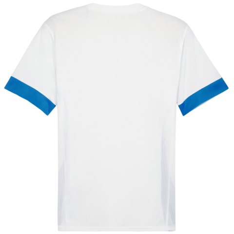 Koszulka męska Puma teamGoal Matchday Jersey biało-niebieska 705747 12