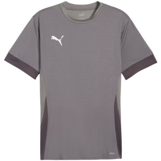 Koszulka męska Puma teamGoal Matchday Jersey szara 705747 13