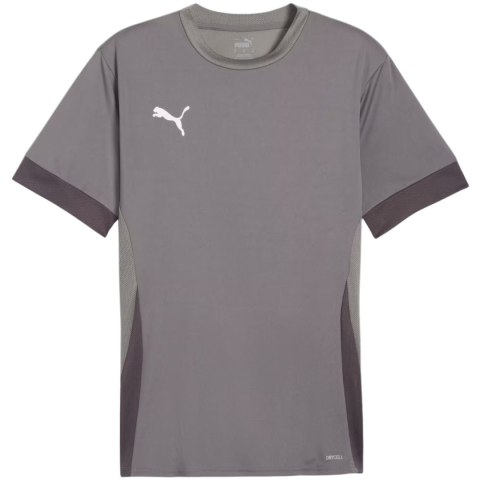Koszulka męska Puma teamGoal Matchday Jersey szara 705747 13