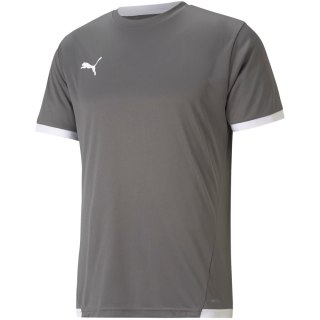 Koszulka męska Puma teamLIGA Jersey szara 704917 13