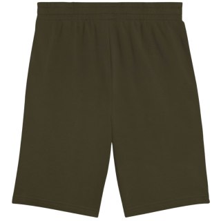 Spodenki męskie Puma Ess 2 Color No. 1 Logo khaki 684715 70