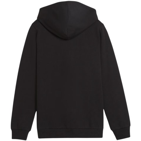 Bluza dla dzieci Puma teamGoal Casuals Hooded czarna 658596 03