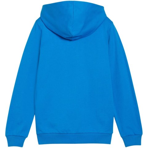 Bluza dla dzieci Puma teamGoal Casuals Hooded niebieska 658596 02