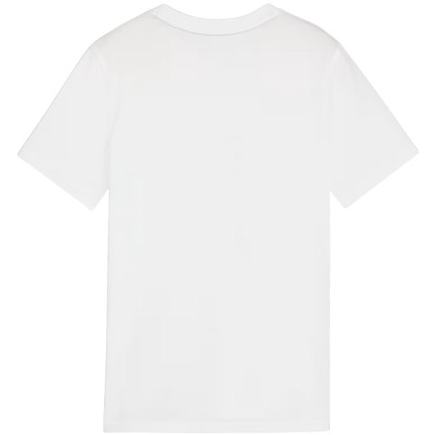 Koszulka dla dzieci Puma Team Goal Casuals Tee biała 658616 04