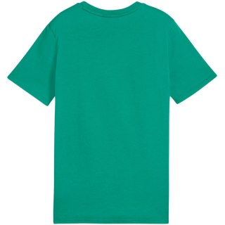 Koszulka dla dzieci Puma Team Goal Casuals Tee zielona 658616 05