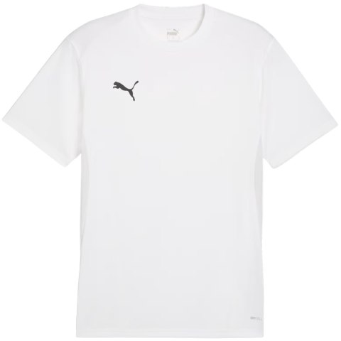 Koszulka męska Puma TeamGoal Jersey biała 658636 04