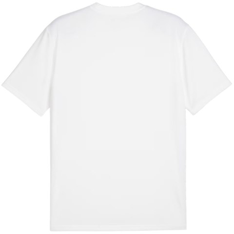 Koszulka męska Puma TeamGoal Jersey biała 658636 04