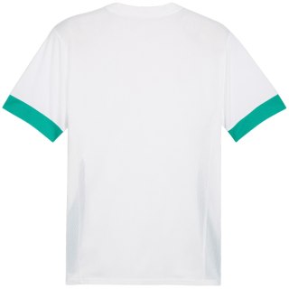 Koszulka męska Puma teamGoal Matchday Jersey biało-zielona 705747 15