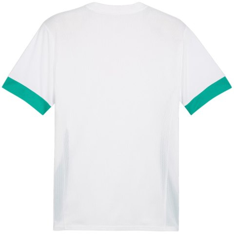 Koszulka męska Puma teamGoal Matchday Jersey biało-zielona 705747 15