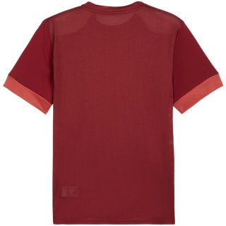Koszulka męska Puma teamGoal Matchday Jersey bordowa 705747 09