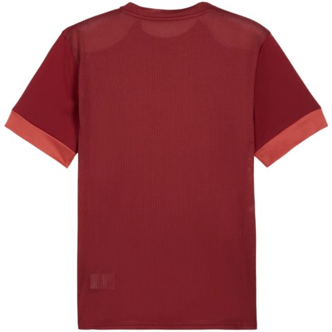 Koszulka męska Puma teamGoal Matchday Jersey bordowa 705747 09