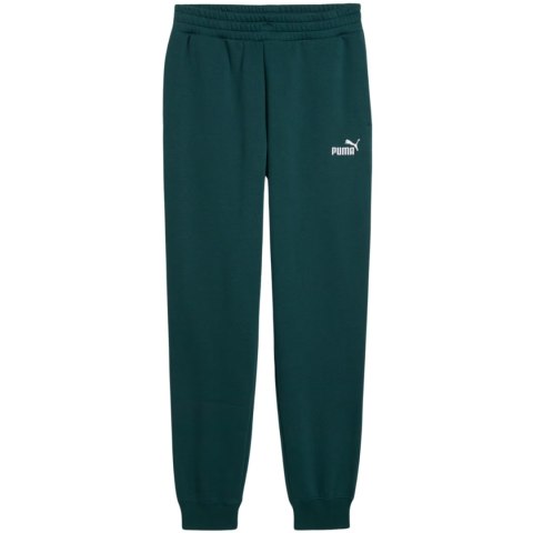 Spodnie męskie Puma ESS no.1 Logo Sweatpants FL zielone 682607 75