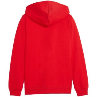 Bluza dla dzieci Puma teamGoal Casuals Hooded czerwona 658596 01