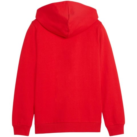 Bluza dla dzieci Puma teamGoal Casuals Hooded czerwona 658596 01
