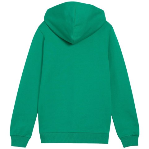 Bluza dla dzieci Puma teamGoal Casuals Hooded zielona 658596 05