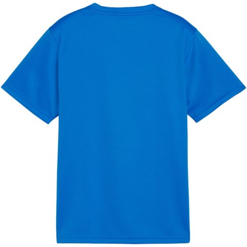 Koszulka dla dzieci Puma TeamGoal Jersey niebieska 658637 02