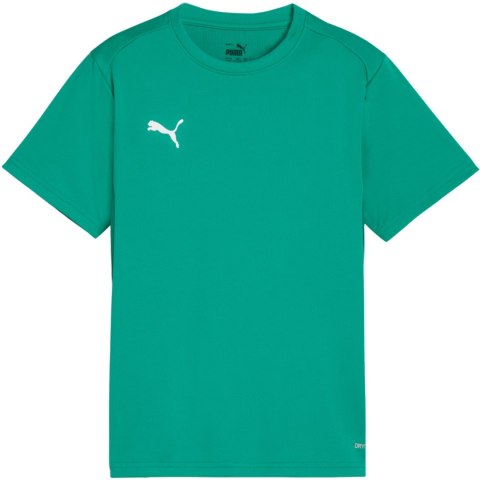 Koszulka dla dzieci Puma TeamGoal Jersey zielona 658637 05