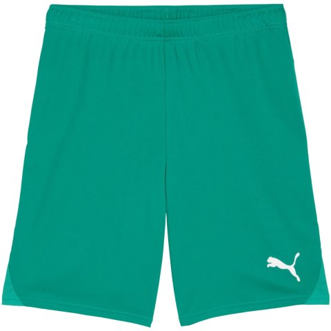Spodenki męskie Puma Team Goal zielone 705752 05