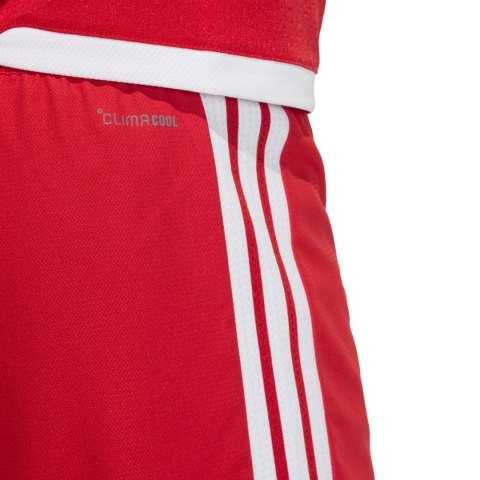 Spodenki męskie adidas Tiro 26 Competition Match czerwono-białe KA6179