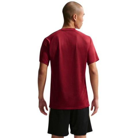 Koszulka męska Nike Dri-Fit Park VIII bordowa HV8173 677