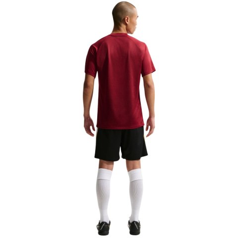 Koszulka męska Nike Dri-Fit Park VIII bordowa HV8173 677