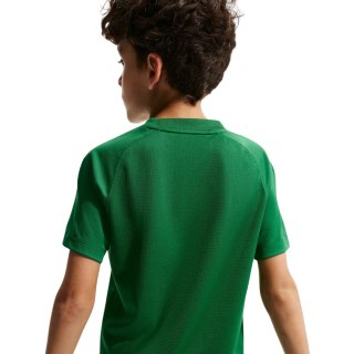 Koszulka dla dzieci Nike Dri-Fit Park VIII zielona HV8182 302
